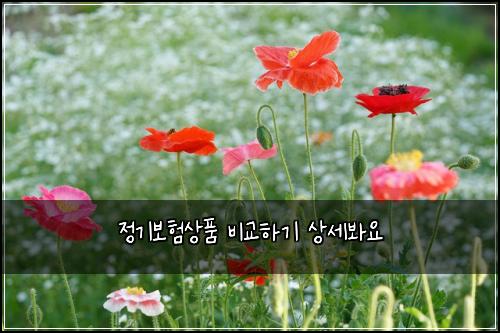 정기보험상품 비교하기 상세봐요