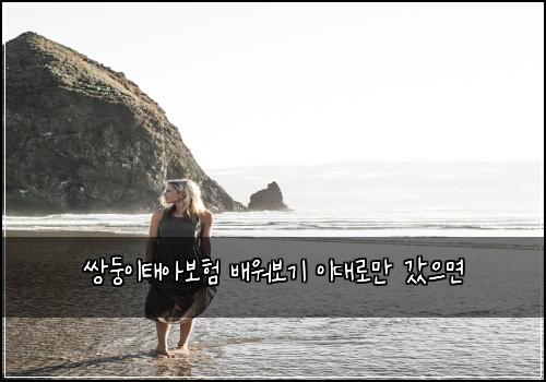 쌍둥이태아보험 배워보기  이대로만 갔으면