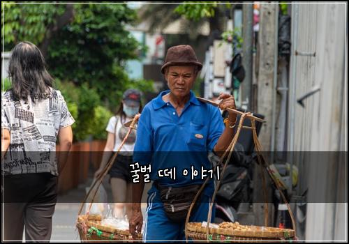 꿀벌 떼 이야기