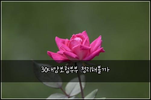 30대암보험부부 정리해볼까