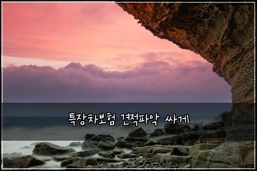 ํน์ฅ์ฐจ๋ณดํ ๊ฒฌ์ ํ์
์ธ๊ฒ