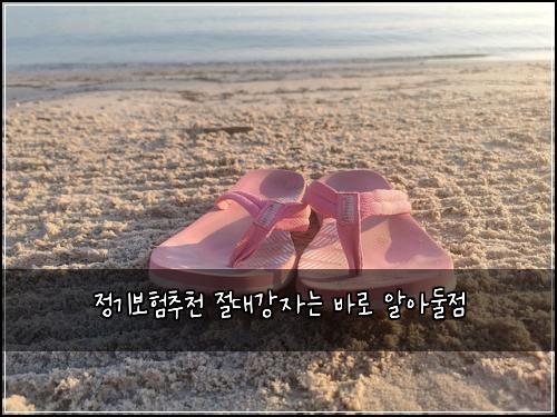 정기보험추천 절대강자는 바로 알아둘점
