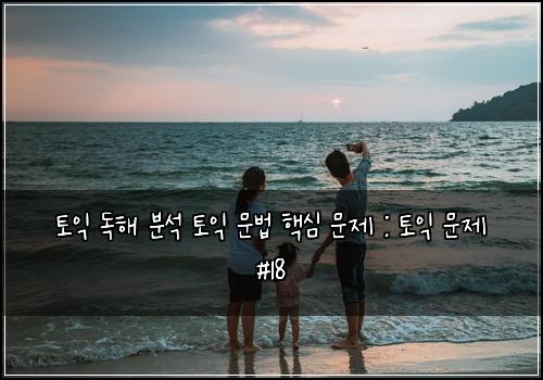 토익 독해 분석 토익 문법 핵심 문제 : 토익 문제 #18