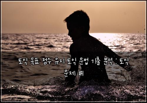 토익 목표 점수 유지 토익 문법 기출 분석 : 토익 문제 #1