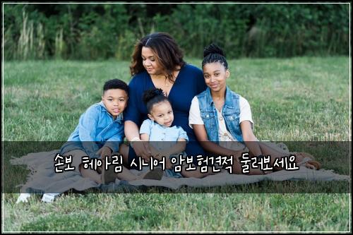 손보 헤아림 시니어 암보험견적 둘러보세요