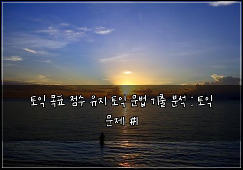 토익 목표 점수 유지 토익 문법 기출 분석 : 토익 문제 #1