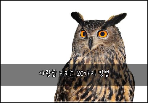 사랑을 지키는 20가지 방법