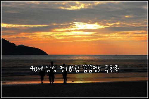 40세 남성 정기보험 꼼꼼정보  추천좀