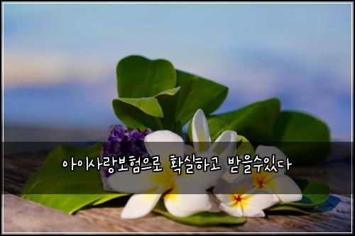 아이사랑보험으로 확실하고 받을수있다