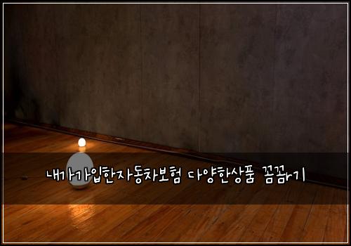 내가가입한자동차보험 다양한상품  꼼꼼r기