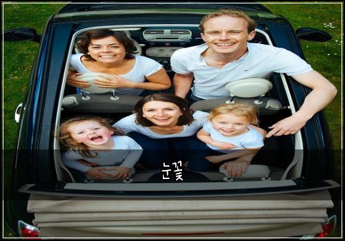 눈꽃