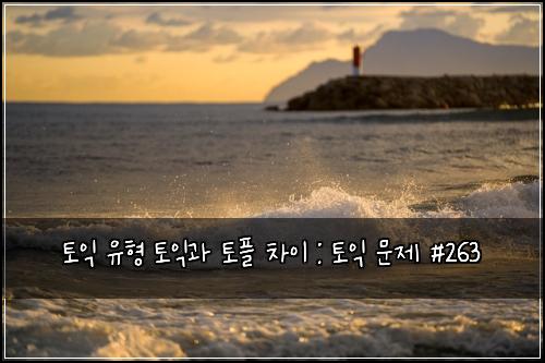 토익 유형 토익과 토플 차이 : 토익 문제 #263