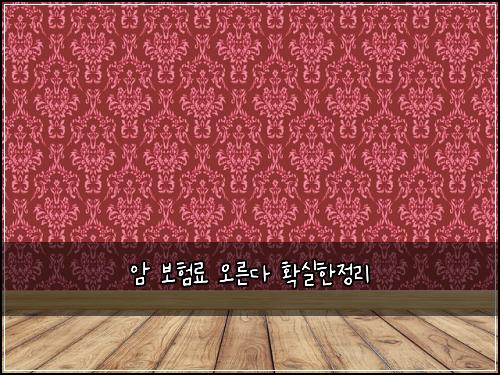 암 보험료 오른다 확실한정리