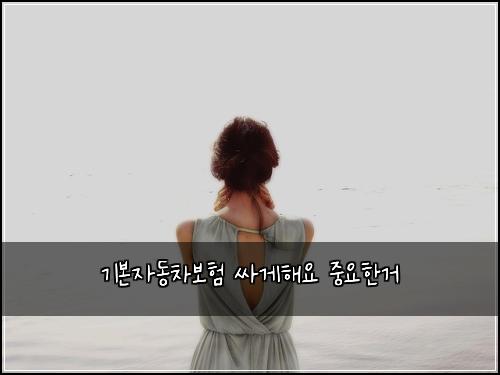 ๊ธฐ๋ณธ์๋์ฐจ๋ณดํ ์ธ๊ฒํด์ ์ค์ํ๊ฑฐ