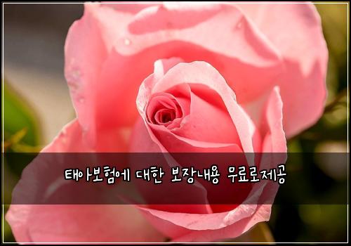 태아보험에 대한 보장내용 무료로제공
