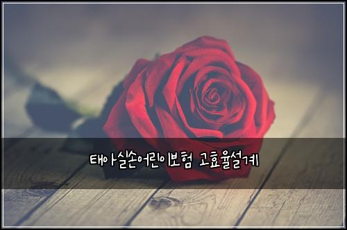 태아실손어린이보험 고효율설계 