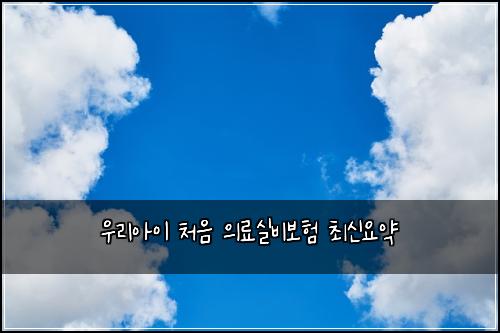 ์ฐ๋ฆฌ์์ด ์ฒ์ ์๋ฃ์ค๋น๋ณดํ ์ต์ ์์ฝ