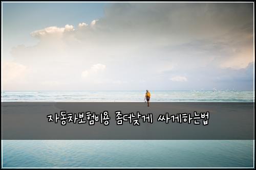 자동차보험비용 좀더낮게 싸게하는법