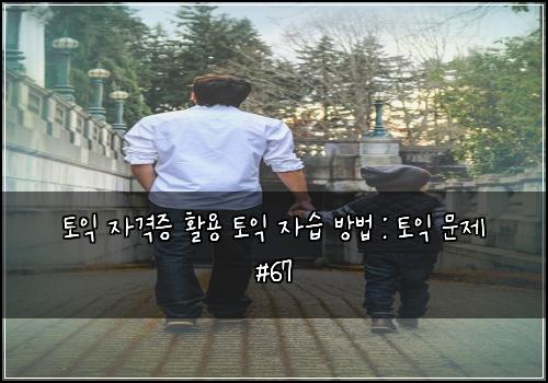 토익 자격증 활용 토익 자습 방법 : 토익 문제 #67