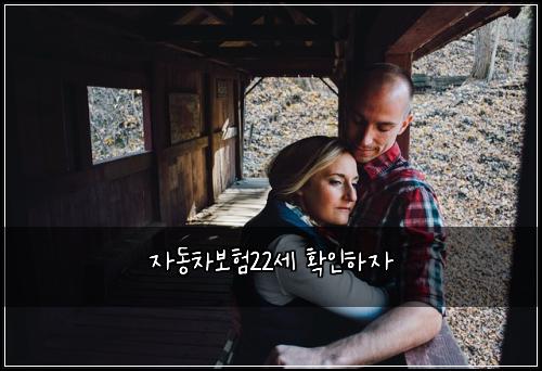 자동차보험22세 확인하자