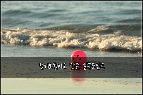 정기보험비교 캇준 실속포인트