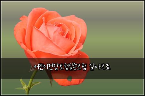어린이건강보험실손보험 알아보죠
