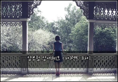 암보험 상세체크  다이렉트 차이