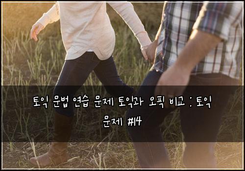 토익 문법 연습 문제 토익과 오픽 비교 : 토익 문제 #14