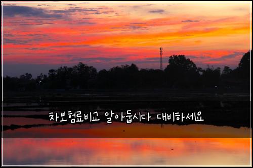 ์ฐจ๋ณดํ๋ฃ๋น๊ต ์์๋ก์๋ค ๋๋นํ์ธ์