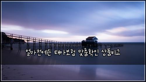 얼마전에든 태아보험 맞춤확인  상품비교