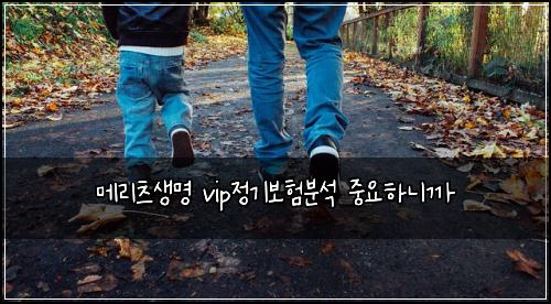메리츠생명 vip정기보험분석 중요하니까