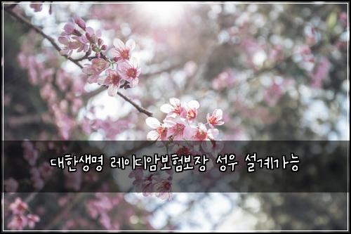 λνμλͺ
λ μ΄λμ보ν보μ₯ μ±μ° μ€κ³κ°λ₯