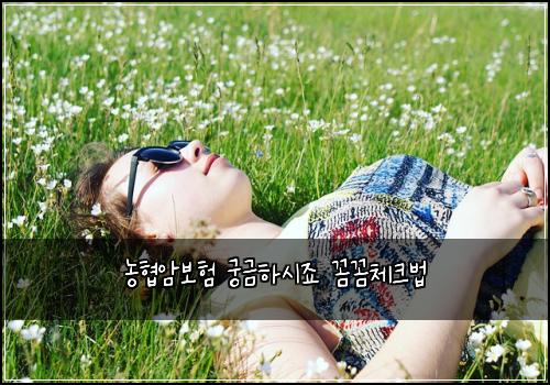 농협암보험 궁금하시죠  꼼꼼체크법