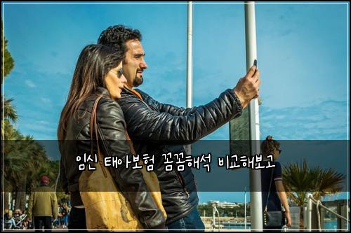 임신 태아보험 꼼꼼해석  비교해보고