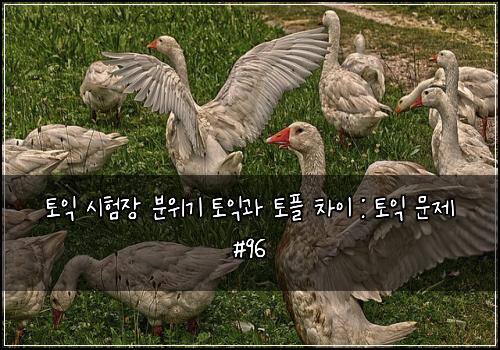 토익 시험장 분위기 토익과 토플 차이 : 토익 문제 #96