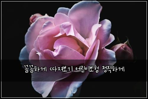 꼼꼼하게 따져보기 어린이보험 정직하게 