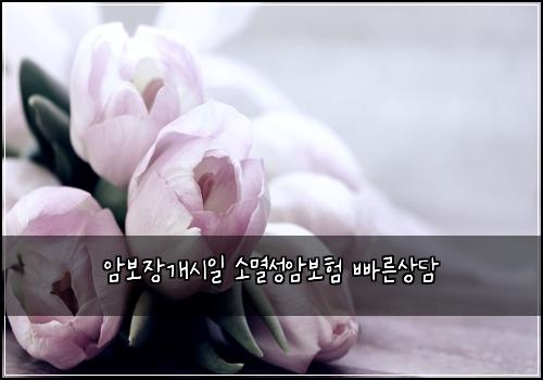 암보장개시일 소멸성암보험 빠른상담 