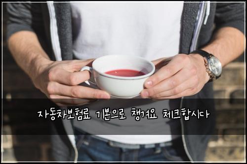 자동차보험료 기본으로 챙겨요 체크합시다