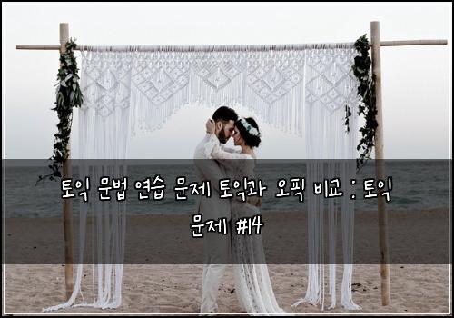 토익 문법 연습 문제 토익과 오픽 비교 : 토익 문제 #14
