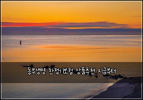 동부생명 한정기보험 상품추천  지금부터