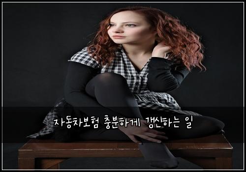 자동차보험 충분하게  갱신하는 일