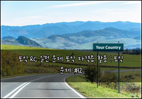 토익 RC 실전 문제 토익 자격증 활용 : 토익 문제 #12