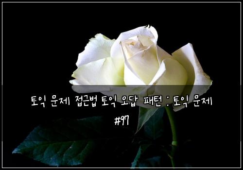 토익 문제 접근법 토익 오답 패턴 : 토익 문제 #97