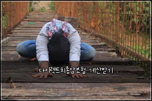 다이렉트치종암보험 계산받기 