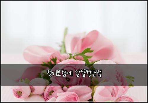 정기보험에 알뜰형견적
