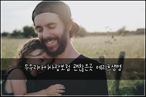 무우리아이사랑보험 괜찮은곳  메리츠생명