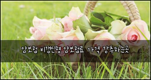 ์๋ณดํ ๋น๊ฐฑ์ ํ ์๋ณดํ๋ฃ ๊ฐ๊ฒฉ ๊ฐ์ถํ๋๊ณณ