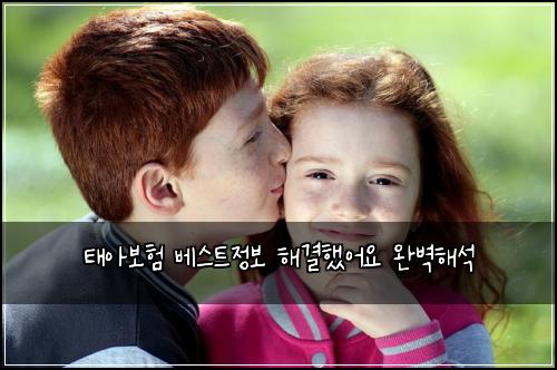 ํ์๋ณดํ ๋ฒ ์คํธ์ ๋ณด ํด๊ฒฐํ์ด์ ์๋ฒฝํด์