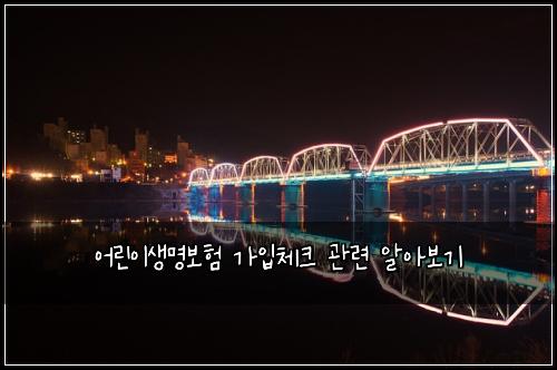 어린이생명보험 가입체크  관련 알아보기